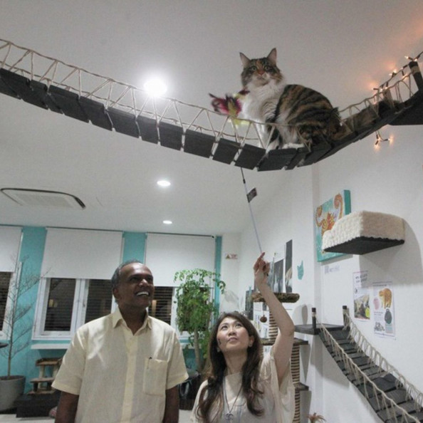 two people playing with a cat in a museum